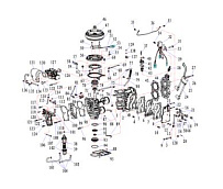 Двигатель 2-Х ТАКТНОГО ПЛМ PARSUN T20BM