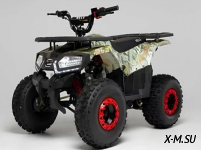 Квадроцикл WELS THUNDER E2X