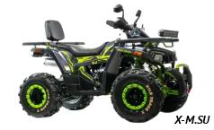 Квадроцикл MOTOLAND (МОТОЛЕНД)  VOX200 WILD TRACK X WINCH (баланс. вал)