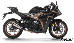 Мотоцикл VINTO GP250