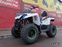 Квадроцикл PROMAX RENEGADE 300
