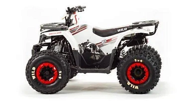 Квадроцикл MOTOLAND (МОТОЛЕНД) 125 WILD