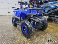 Квадроцикл PROMAX ATV MINI 2T 70CC р/с