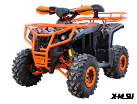 Квадроцикл IRIDE IRIDE RINO SUPER 125 3+1