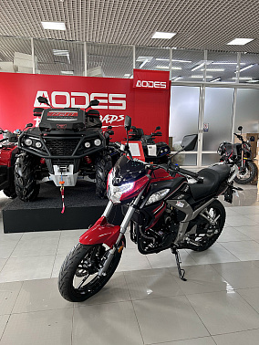 Мотоцикл Racer RC300CK-N Fighter SPORT