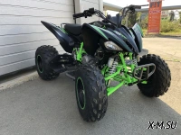 Квадроцикл PROMAX RAPTOR 320 Monster
