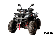 Квадроцикл Grizzly 250