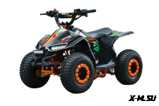 Квадроцикл WELS TUKAH 110