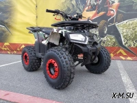 Квадроцикл WELS Thunder E2 PRO-SPORT