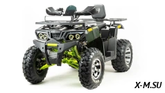 Квадроцикл PROMAX WILD 300 PRO &quot;АНТИВИБРАЦИОННЫЙ&quot;