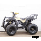 Квадроцикл STALKER 250