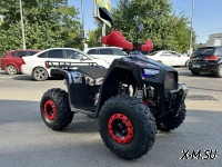 Квадроцикл PROMAX FOREST 180