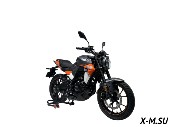 Мотоцикл TMBK MONTANA 250 (165 FMM)