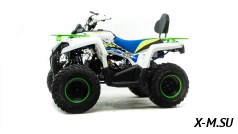 Квадроцикл MOTOLAND (МОТОЛЕНД) VOX200 SHARK (баланс. вал)