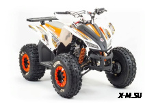 Квадроцикл TAO MOTORS COYOTE 125 cc (RIVAL)