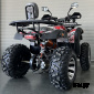 Квадроцикл 200 ALL ROAD (2022 г.)