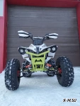 Квадроцикл PROMAX SCORPION 180 (зимний пакет)