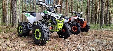 Квадроцикл PROMAX SCORPION 180