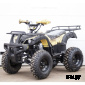Квадроцикл STALKER 250