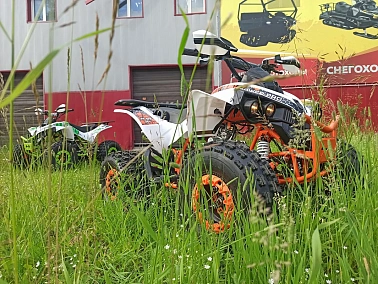 Квадроцикл PROMAX SPAWN 180