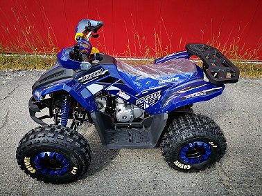 Квадроцикл MOTOLAND (МОТОЛЕНД) 125 COYOTE PRO