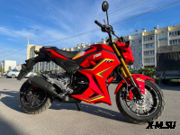 Мотоцикл PROMAX STRYKER 200(49)