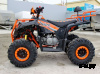 Квадроцикл IRIDE IRIDE RINO SUPER 125 3+1